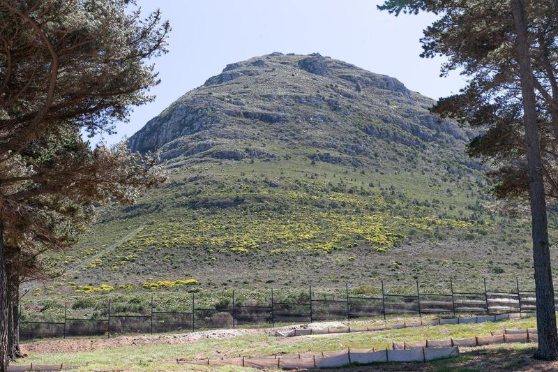 0 Bedroom Property for Sale in Chapman